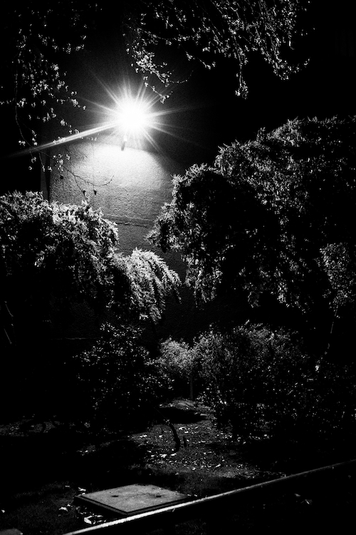 Fotografia de una arbolada de noche con un reflector de fondo