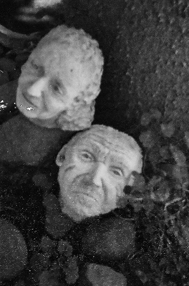 Fotografia de dos caras de estatuas en un jardin